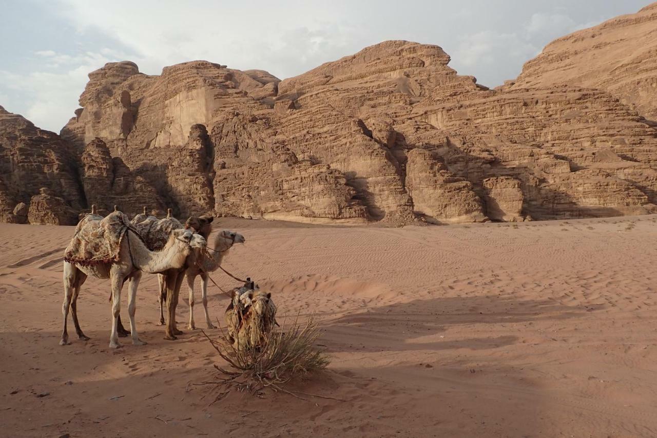 Martian Camp ワディ ・ラム エクステリア 写真